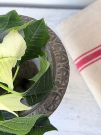 Image 6 of Vase Médicis en fonte