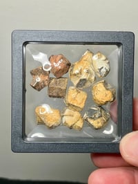 Image 5 of Staurolite Maltese Cross Crystals in Matrix | Mt Isa QLD Australia #2781