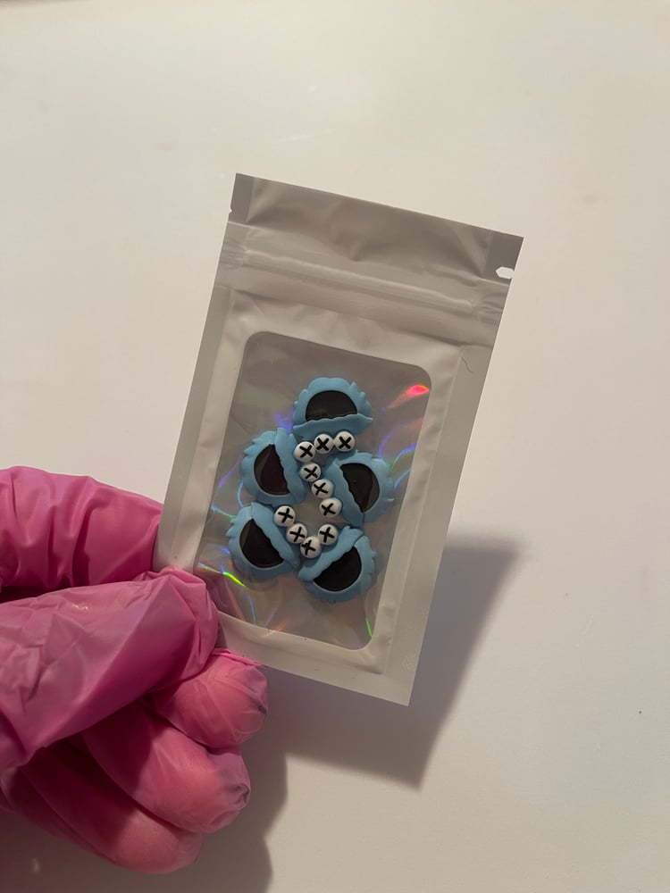 Image of COOKIE MONSTER CHARMS