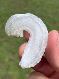 Image 1 of Ram’s Horn Selenite, Gypsum Specimen | Guizhou China #3050