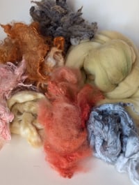 Image 3 of Regal Moth Inspired Fiber Kit For Blending, Carding, Spinning, Felting