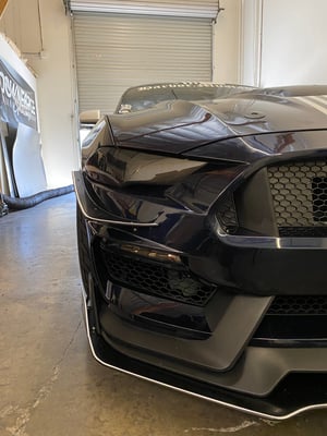 Image of 2015-2021 Mustang GT350 V1 canards