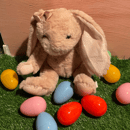 Image 4 of Glitter Embroidered Ear Bunny