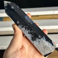 Image 3 of Black Agate Tower (24A)