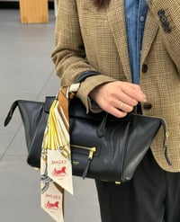 Image 2 of Céline Printemps Bag