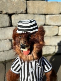 Image 1 of Jail Bird