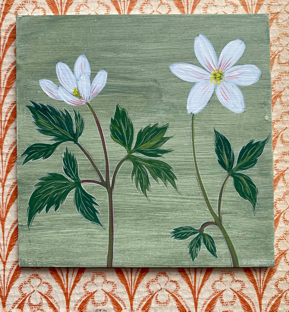 Image of Wood Anemone 