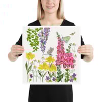 Image 5 of Foxglove Garden- Poster Print
