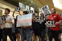 Image 3 of ICE out of AIRPORTS!