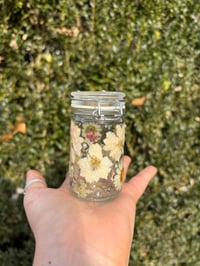 Image 3 of Winter Solstice 