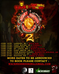 Mighty Morphin Wackness VIP
