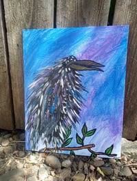 Image 14 of Crow