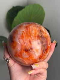 Image 6 of XL BANDED CARNELIAN SPHERE -MADAGASCAR- C
