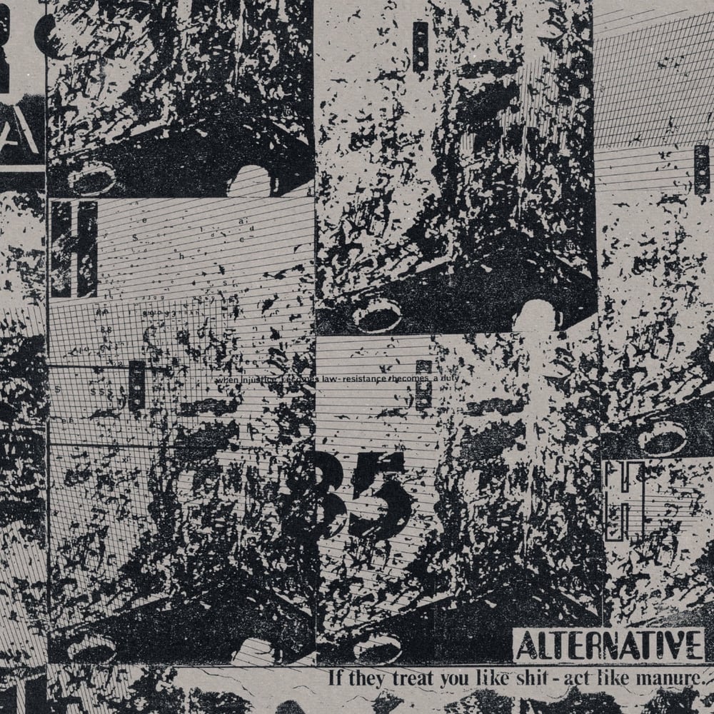 Image of Alternative - "If They Treat You Like Shit - Act Like Manure" LP (UK Import)