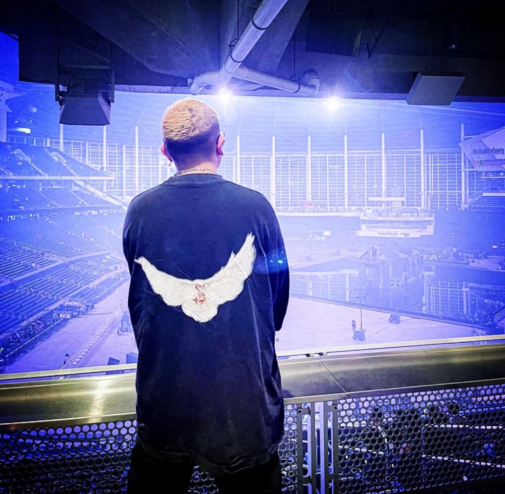 Oversized Dove T-Shirt