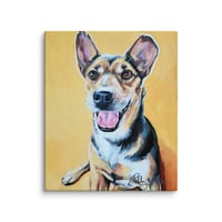 Image 3 of Yellow Jack Russel