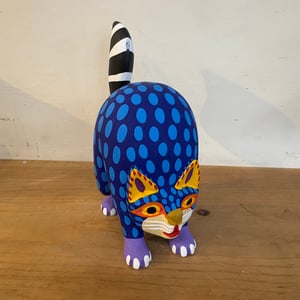 Image of Fabulous cat 