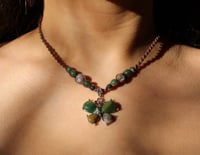 Indian Agate butterfly 