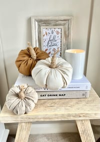 Image 1 of Winnie Fabric Pumpkin