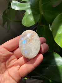 Image 1 of Moonstone Palm Crystal (10)