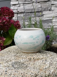 Image 1 of White Succulent Pot