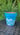 cloudy day flower pot