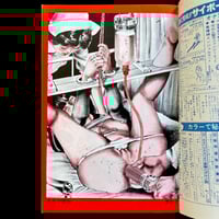 Image 2 of SM Secret Novel 1980 #4