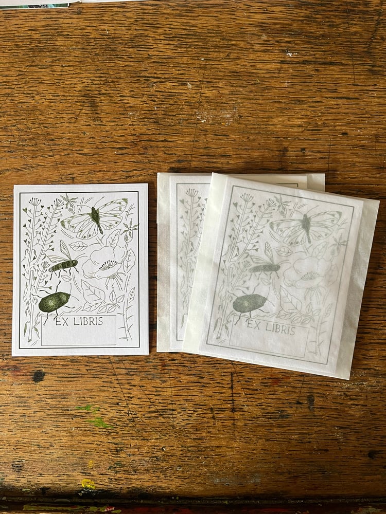 Image of Bookplate pack, olive 