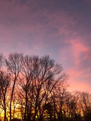 Image of Sacred Nature Journey… online