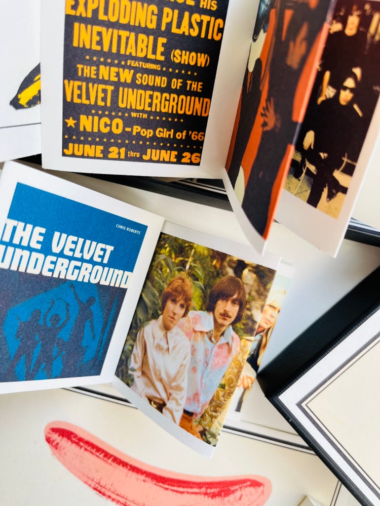 Image of FAN VELVET