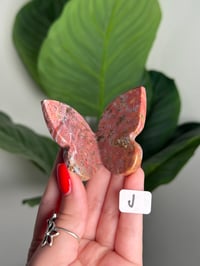 Image 10 of CHOOSE YOUR OWN UNICORN JASPER BUTTERFLIES