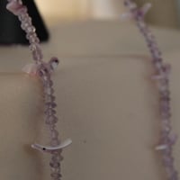 Image 5 of Amethyst & Tsíto (bird) Dentalium Drops