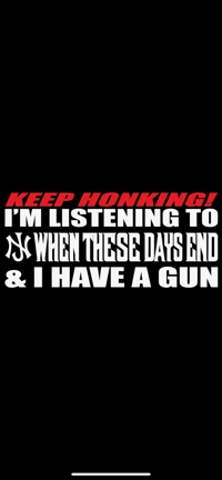 Image 1 of WHEN THESE DAYS END BUMPER STICKER