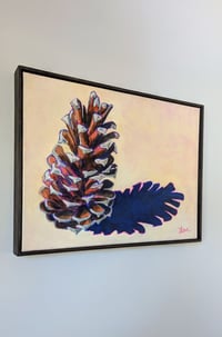 Image 4 of Loblolly Pine Cone #1