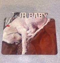 Image 1 of Hardboard Memorabilia 