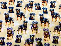 Image 20 of Dog Scrub Hats