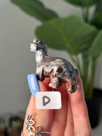 Image 4 of CHOOSE YOUR OWN MINI SOAPSTONE DINOSAURS