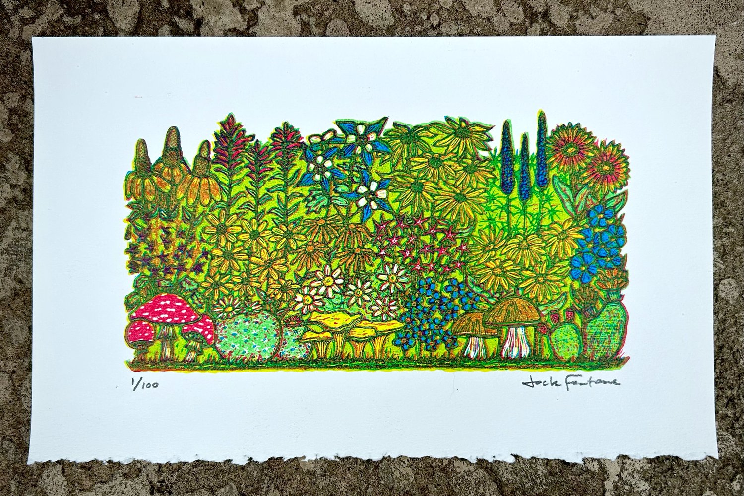 Image of Hi-Country print