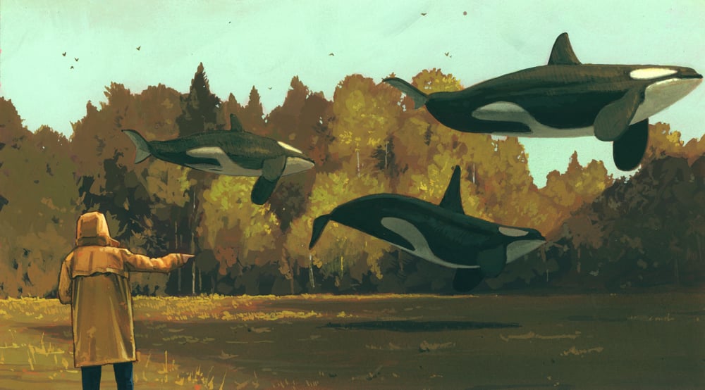 Image of -go here, go fast- (study) 