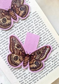 Image 5 of Magnetic Insect Bookmarks 