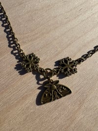 Image 1 of Winter Moth