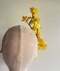 Image 2 of Yellow orchids