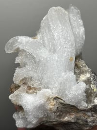 Image 14 of Ram’s Horn Selenite, Gypsum Specimen | Guizhou China #3048