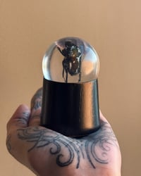 Image 2 of Resin Beetle Stand 2