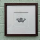 Image 1 of £50 originals - Tiger moth, pointillism