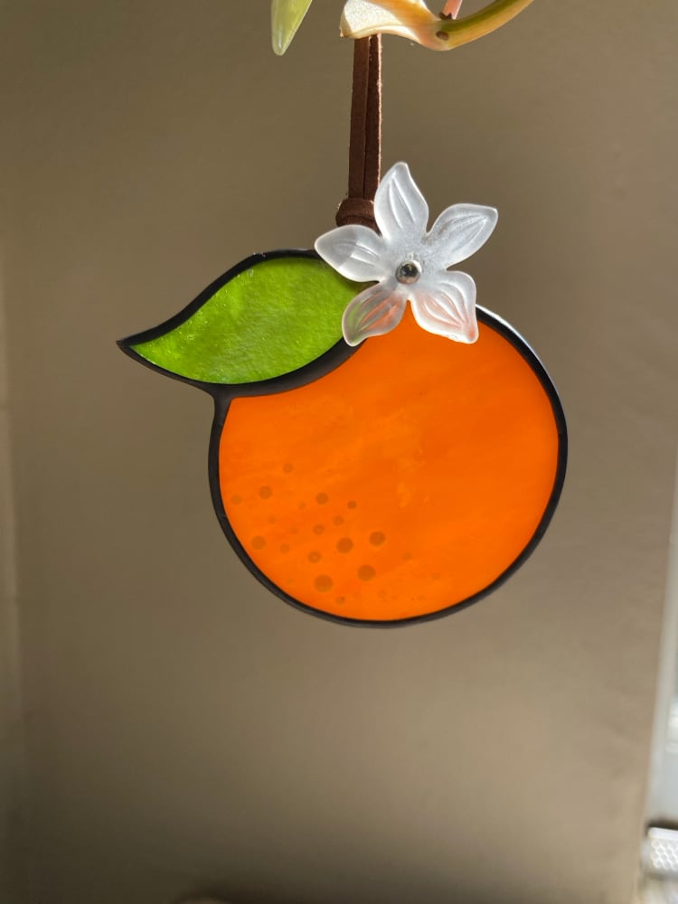 Image of Oranges with Bloom