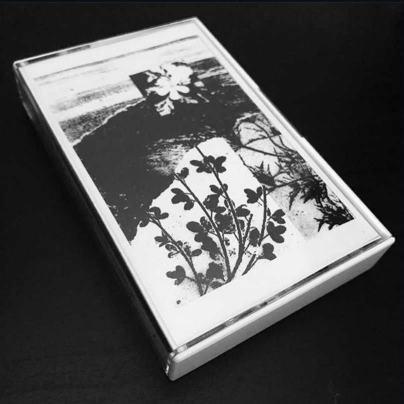 Cremation Lily & Knifedoutofexistence - Mist And Static 