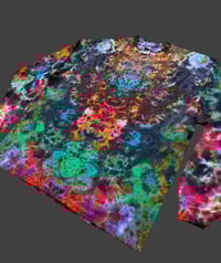 Image 4 of 2XL LS Earthy Rainbow