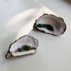 Sea Glass Oyster Shell