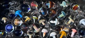 Image of Mystery Mushy